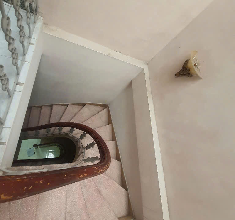 z6407190238556_08a45e9b0f31a6d4bc5638bcd149c146