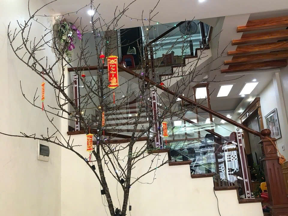 z7066573687179_0a85e6c0d8475c410beb66236c9c01f5