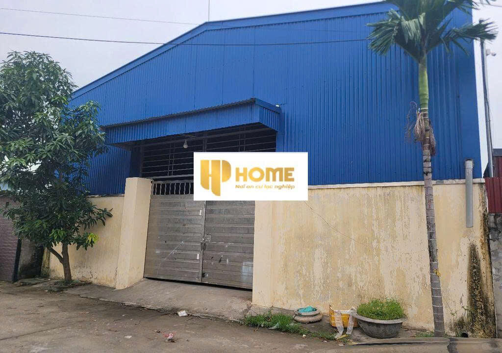 z7227984916724_e8abd6d721358f701df3b4d36201f487