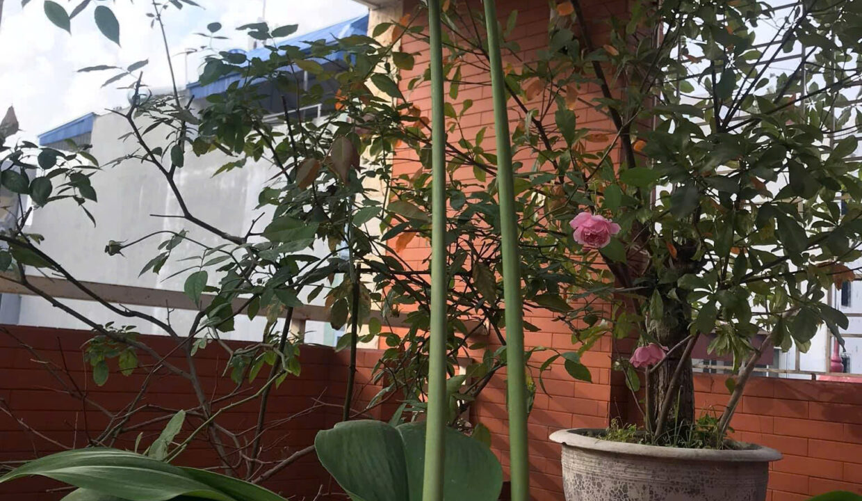 z7329751832014_224105819c8b03c287d1b142f25fa583