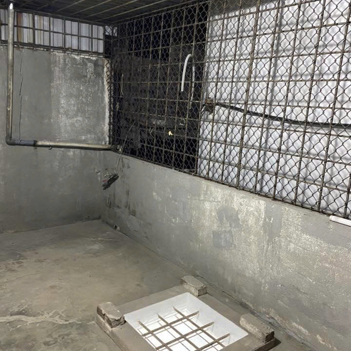 z7406898045294_a5058c05d5e76d26ee9ba7875b32d878