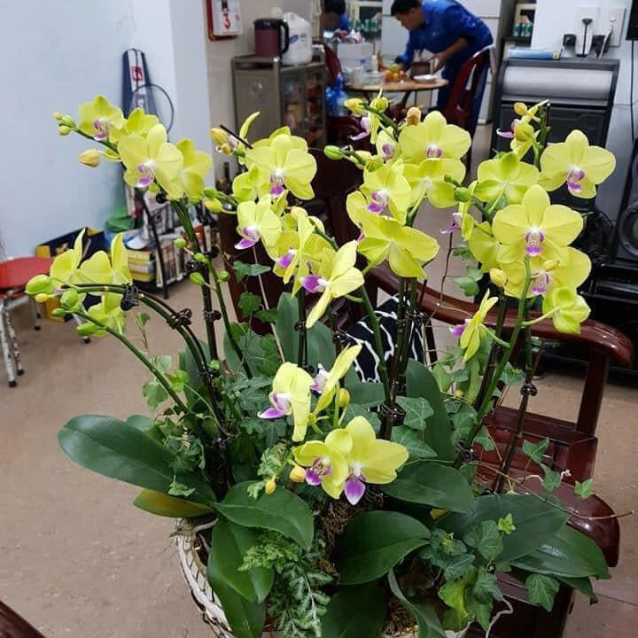 z7407070845121_d9a6a7468e9d5c60f2568a0e3f95b271