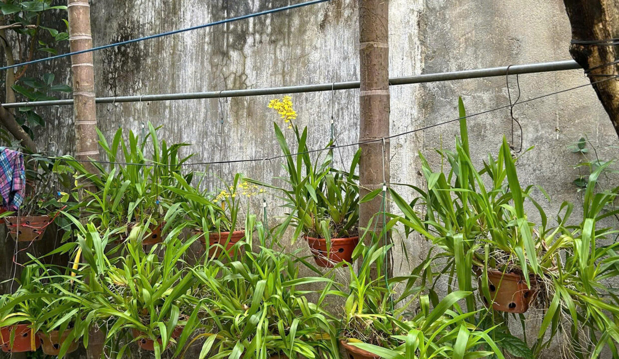 z7466967320578_dde3d29fdba3e4e1199ed416d958f487