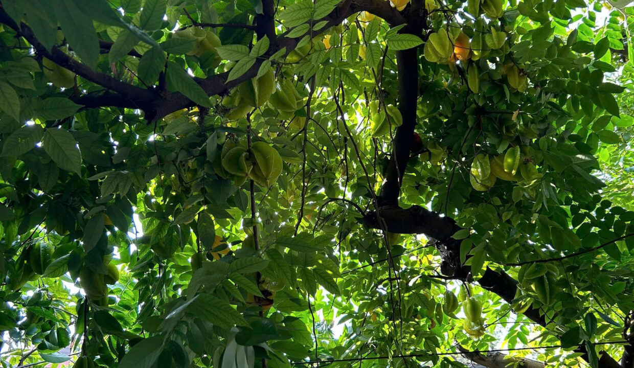 z7466967320579_8ee6d791e3fc6c14e46171fa1d157d13