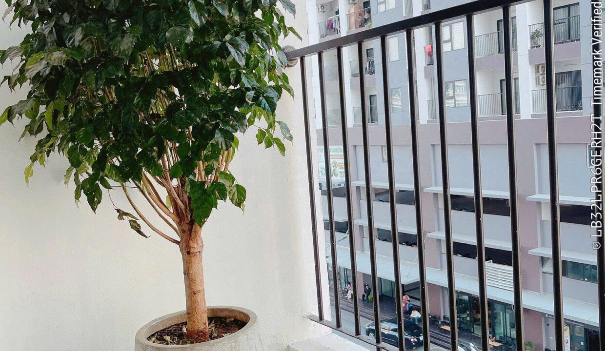 z7593703295744_ba37f23ab6399bccb649235e4de9ef96