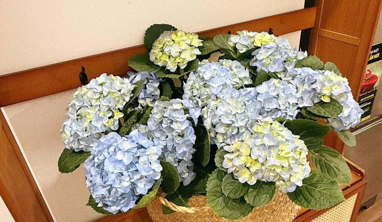 z7606713100348_4dbd9f2d32a1c3c05aa01d54f4e91a38