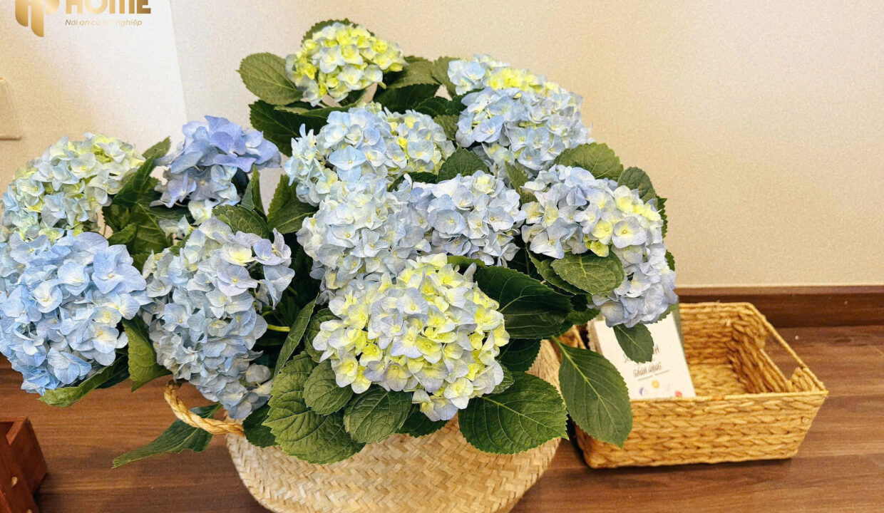 z7606713132770_05fff077668c74fd2d99e1628212fb6c