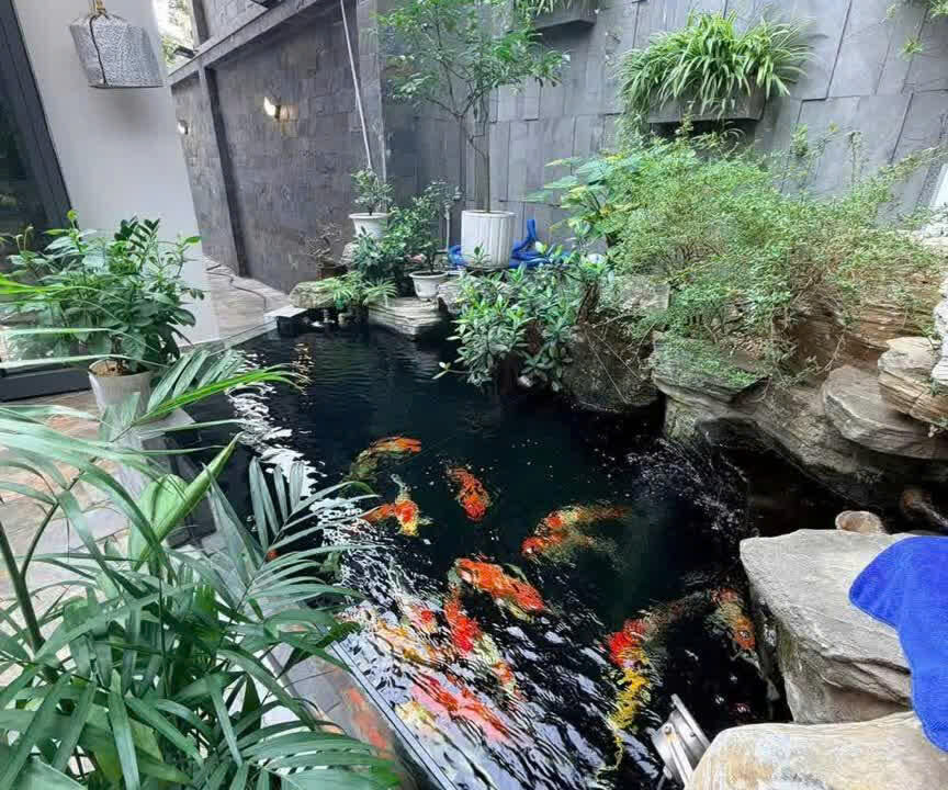 z7717770848820_4679dd2caf9e265ec55f962677fdea0a